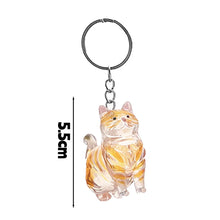 Load image into Gallery viewer, New Cat Hair Storage Keychain Bag Pendant Transparent Pet Fur Keepsake Capsule Souvenir Collection Gift Decoration Accessories
