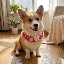Load image into Gallery viewer, Pet Accessories Adjustable Flower Pet Scarf Bib Sweet Handmade Cat Strawberry Collar Decorative Cozy Cat Woven Bib Photo Shoots
