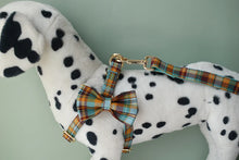 Load image into Gallery viewer, Pets Accessories Dog Collar Leash Harness Set Personalized Dog Collar Harness Leash Set Custom Classy Dog Accessories Grid 13-01
