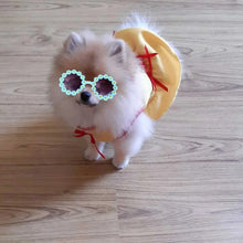 Load image into Gallery viewer, Pet Accessories Flower Sunglasses Circular Role Playing Glasses Photo Props Glasses For Cats And Small And Paracord Dog Leash
