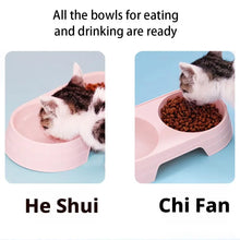 Load image into Gallery viewer, Non-Slip Double Pet Bowls Food &amp; Water Feeder for Cats and Small Dogs BPA-Free Easy-Clean Raised Pet Dishes in 4 Colors
