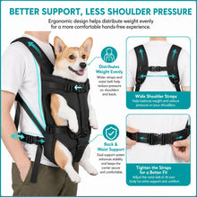 Load image into Gallery viewer, Pet Backpack Carrier For Cat Dogs Front Travel Dog Bag Carrying For Animals Small Medium Dogs Bulldog Puppy Mochila Para Perro
