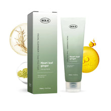 Load image into Gallery viewer, Heartleaf Pore Control Facial Cleanser
