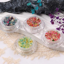 Load image into Gallery viewer, Nail Art Dried Flower Decoration Nail DIY Manicure For Nails Art Jewelry Flower Beauty Salon Decoration E3C5
