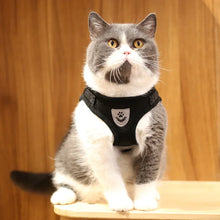 Load image into Gallery viewer, Cat Harness Lead Leash Set Adjustable Reflective Escape Proof Pet Mesh Vest Harness Puppy Dog Collar Small Dog Cat Pet Supplies
