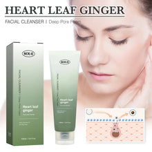 Load image into Gallery viewer, Heartleaf Pore Control Facial Cleanser
