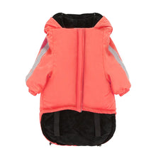 Load image into Gallery viewer, Windproof Reflective Winter Dog Coat
