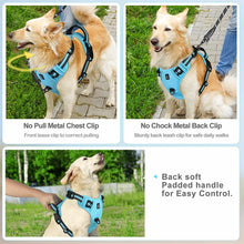 Load image into Gallery viewer, Easy Control Handle No-Pull Vest
