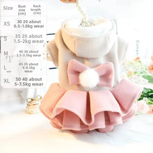 Load image into Gallery viewer, Fashion Autumn Winter Outfit Pet Dog Clothes Woolen Tutu Skirt Pet Coat Dog Dresses Teddy Bear Cat Princess Skirt for Small Dogs
