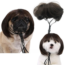 Load image into Gallery viewer, Pet Wigs Cosplay Props Dog Cat Cross-Dressing Hair Set Photography Funny Props Head Accessories Prank Pet Supplies Costumes DIY
