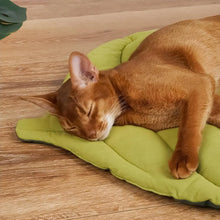 Load image into Gallery viewer, Leaves Shaped Pet Bed Reversible Soft Washable Non Slip Cushion For Cats Dogs Indoor Travel Camping Comfortable Cozy Cooling Mat
