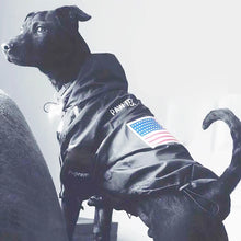 Load image into Gallery viewer, Fashion Pet Dog Clothes  Raincoat Waterproof Reflective Pet Jacket Dog Cat Coat for Small Medium Large Dogs Clothes
