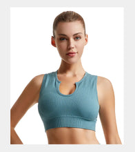 Load image into Gallery viewer, Women's Sleeveless Sports Bra Navel-Leaking with A Chest Pad  Highly Elastic Vest Sexy Stretchy Breathable Bra

