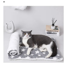Load image into Gallery viewer, Flannel Pet Sleeping Mat Dog Bed Cat Litter Puppy Bed Dog Sofa Lovely Mattress Cushion for Small Large Dog Blanket For Winter
