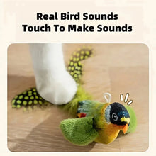 Load image into Gallery viewer, The pet cat toy emulates the sound bird to amuse the cat elastic rope to relieve boredom and resist scratching and biting
