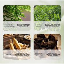 Load image into Gallery viewer, Arborvitae Leaf Shampoo Soap Handmade Natural Herbal Scalp Itching Relief Promote Hair Growth Prevent Hair Loss And DandruffSoap
