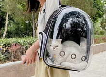 Load image into Gallery viewer, Pet Cat Carrying Bag Space Pet Backpacks Breathable Portable Transparent Backpack Puppy Dog Transport Carrier Space Capsule Bags
