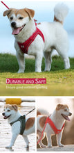 Load image into Gallery viewer, Reflective Outdoor Walking Harness Set
