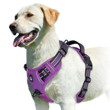 Load image into Gallery viewer, Easy Control Handle No-Pull Vest
