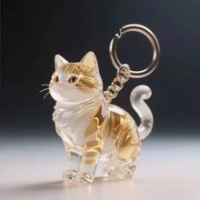 Load image into Gallery viewer, New Cat Hair Storage Keychain Bag Pendant Transparent Pet Fur Keepsake Capsule Souvenir Collection Gift Decoration Accessories
