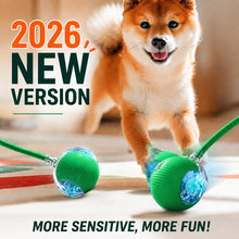 Load image into Gallery viewer, Smart Automatic Rolling Dog Ball
