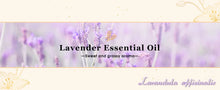 Load image into Gallery viewer, Large Bottle Aromatherapy Essential Oil
