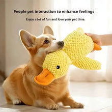 Load image into Gallery viewer, Indestructible Pet Toys for Aggressive Chewers Cats Dogs,Chew Squeak Toy Cats Dogs Interactive Plush Doll Pet Products
