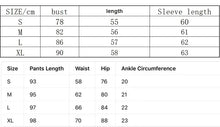 Load image into Gallery viewer, Yoga Pilates Training Set for Women Professional Fit Suitable for Gym, Outdoor Running, and Multi-Scene Workouts
