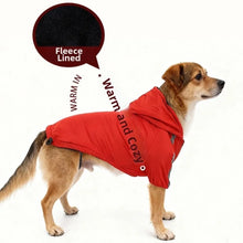 Load image into Gallery viewer, Windproof Reflective Winter Dog Coat
