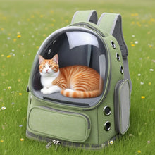 Load image into Gallery viewer, Transparent Pet Carrier Backpack Outdoor Travel Essential for Cats Small Dogs Breathable Design Comfortable Premium Pet Supplies
