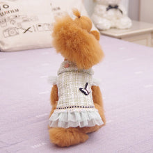 Load image into Gallery viewer, Dog clothes Princess Dress &amp; Jacket For Pets, Suitable For Poodle, Maltese, Yorkshire Terrier In Spring And Autumn
