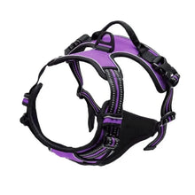 Load image into Gallery viewer, Complete Dog Collar Harness Set
