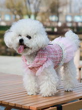 Load image into Gallery viewer, Dog clothes Princess Dress &amp; Jacket For Pets, Suitable For Poodle, Maltese, Yorkshire Terrier In Spring And Autumn
