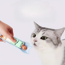 Load image into Gallery viewer, Cat Strip Squeeze Spoon Cat Strip Feeder for Lickable Wet Cat Treats Pet Liquid Snack Feeding Tool Cat Feeder Pet Supplies
