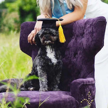 Load image into Gallery viewer, Graduation Hat Pet Accessory Adjustable Pet Graduation Cap For Puppy Kitten Pet Birthday Dress Up Props
