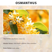 Load image into Gallery viewer, Hotel Aroma Fragrance Essential Oil
