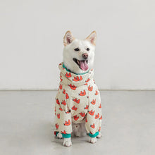 Load image into Gallery viewer, Waterproof Hooded Pet Rain Jacket
