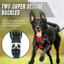 Load image into Gallery viewer, Complete Dog Collar Harness Set
