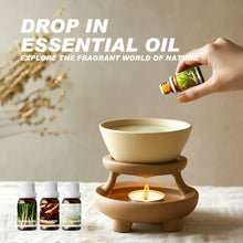 Load image into Gallery viewer, Pure Tea Tree Travel Essential Oil
