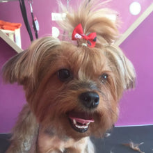 Load image into Gallery viewer, 10pcs Creativity Pet Hair Accessories Bow Polyester Cute Puppy Bow with Rubber Band Suitable for Dogs Cat Grooming Accessories

