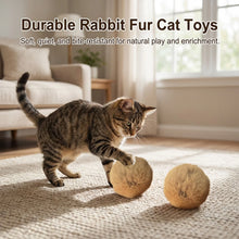 Load image into Gallery viewer, 1/2/3/6pcs Rabbit Fur Ball Interactive Cat Toy Pet Product Containing Catnip Toy Ball Chasing Plush Toy Ball Cat Accessories 8cm

