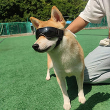 Load image into Gallery viewer, Pet Accessories Dog Outdoor UV Protection Sunglasses Cat Dog Goggles for Small Medium Breed Puppy Glasses Adjustable Straps
