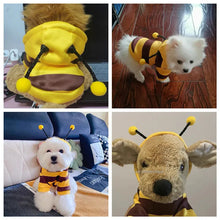 Load image into Gallery viewer, Sweet Bee Pet Costume Outfit
