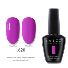 Load image into Gallery viewer, NAILCO 2025 Hot 15ML Gel Nail Polish Nails Semi-permanent UV Varnish High Quality Glass Bottle Nail Art Polish For Manicure
