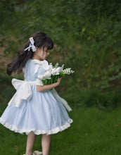 Load image into Gallery viewer, Embroidered Bow Princess Girls Dress
