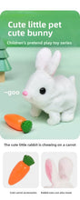 Load image into Gallery viewer, New Children's Simulation of Electric Plush Animal Toys, Play House Gifts for Boys and Girls with Sound Pet Toy Sets with Cages！
