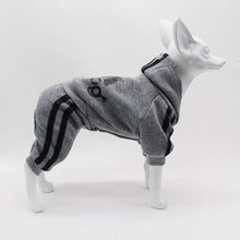 Load image into Gallery viewer, Comfortable Spring Dog Sports Suit
