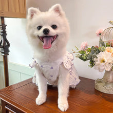 Load image into Gallery viewer, Sweet Cotton Pet Skirt Dress
