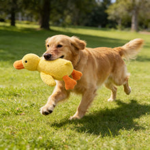 Load image into Gallery viewer, Dog Toys Durable For Biting And Teething Make Sounds To Relieve Boredom Plush Sleeping Small Medium-Sized Pet
