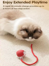Load image into Gallery viewer, Durable Pet Toys for Dogs And Cats - Teaser Ball with Rope Jumping Ball Thud Toy for Self-Entertainment Pet Supplies
